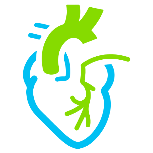 Adult Cardiac Surgery