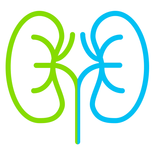 Nephrology